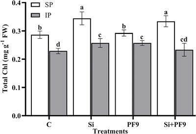 Silicon- and Phosphate-Solubilizing Pseudomonas alkylphenolica PF9 Alleviate Low Phosphorus Availability Stress in Alfalfa (Medicago sativa L.)